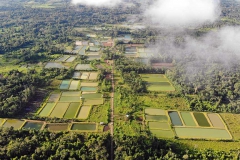 DJI_0942